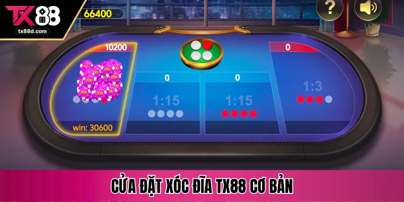 Cửa đặt xóc đĩa TX88 cơ bản