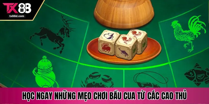 Học ngay những mẹo chơi bầu cua từ các cao thủ