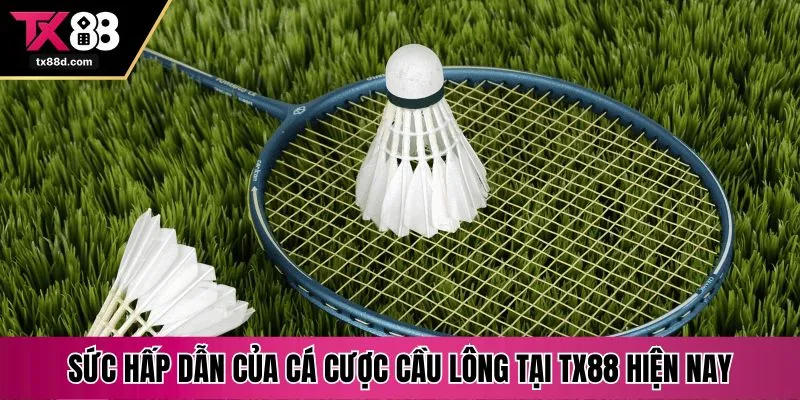 Sức hấp dẫn của cá cược cầu lông tại TX88 hiện nay